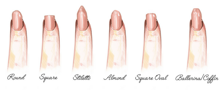 Premium Vector | Different nail shapes